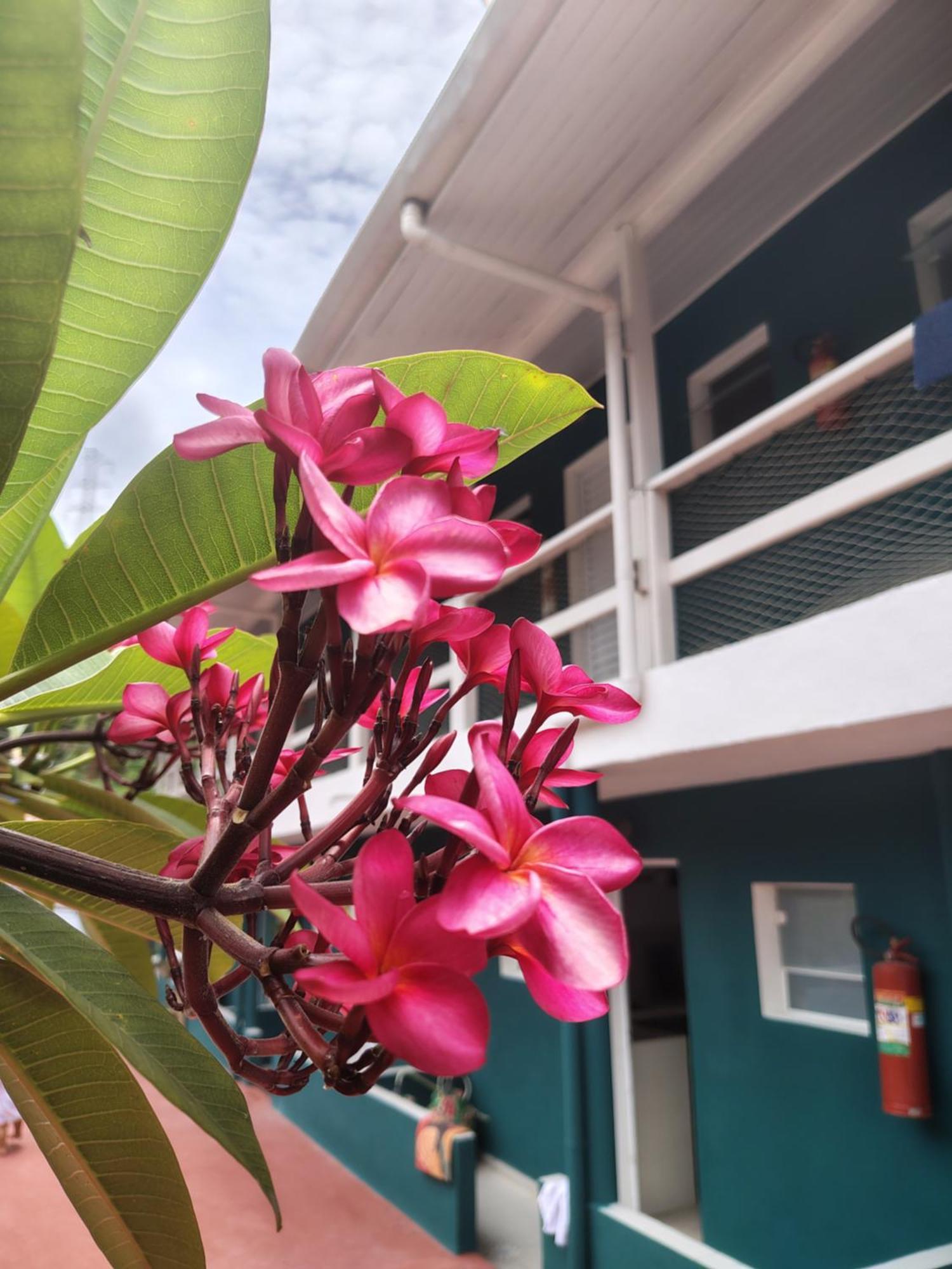 Bali Lofts Pensión *